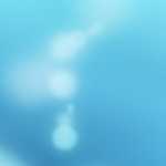 Oil Spill Commission, working paper #6