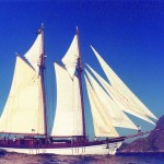 Following in Darwin’s Footsteps
