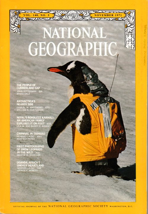 Thankfully, today's penguin health monitoring technology has gotten smaller.