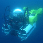 Follow the New England Aquarium to the Sea of Cortez