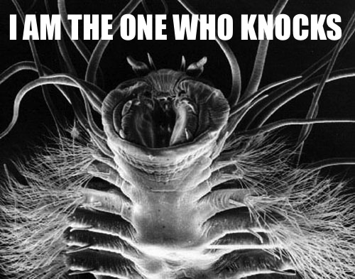 Ice_worm_closeupNASA