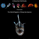 The Earth’s Largest Ecosystem – in Your Back Pocket