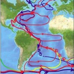 The Indian Ocean’s cup runeth over