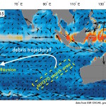 How currents pushed debris from the missing Malaysian Air flight across the Indian Ocean to Réunion