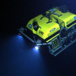 The twelve days of Christmas – a marine biological edition