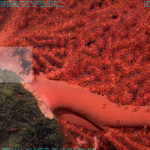 What’s New With the Dr. M and the Oceans?