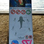 Sir Fish grabbing headlines, but it’s not all good