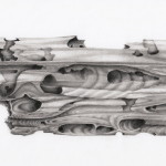 Wooden Homes on the Seafloor Yield Insights Into the Impacts of Climate Change