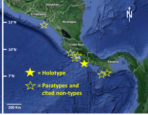 Etmopterus benchleyi n. sp. color map